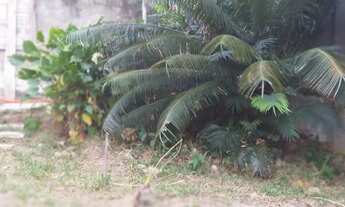 Imagem: TERRENO ENGENHO DO MATO