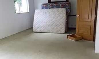 Imagem 3: Casa Alto Padrão para Locação, Alto da Boa Vista São Paulo - SP, Com 3 Suítes e 3 Vagas!