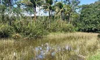 Imagem 5: Vendo sítio excelente localização beirando a rodovia entrada de Rio das ostras