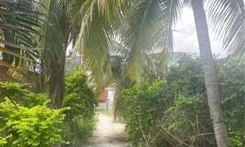 Imagem 6: Vende- Se uma Chácara um Pedaço do Paraiso