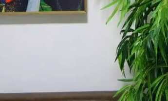 Imagem 7: 1 quarto no centro