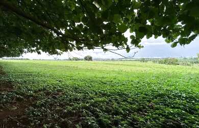 Imagem: Fazenda a venda em Trindade / Goiás!!!