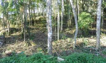 Imagem 2: Terreno 500 m2 Em Cotia