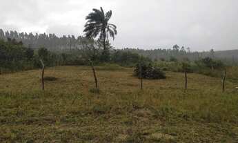 Imagem 2: Terreno 20x30 localizado na Capoeira Alagoinhas