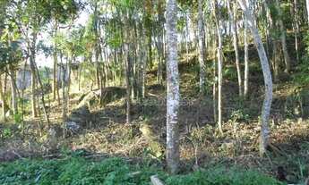 Imagem 4: Terreno 500 m2 Em Cotia