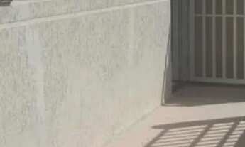 Imagem: Apartamento térreo com quintal no marajo