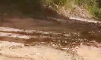 Imagem: Lote à venda em Ibatiba/ES - Bairro Santa