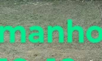 Imagem 2: TERRENO NA BASE AÉREA