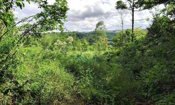 Imagem 13: Sítio à venda, 96800 m² por R$ 500.000,00 - Centro - Guaraniaçu/PR