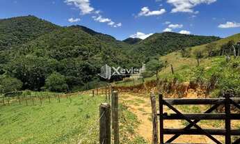 Imagem 7: Fazenda à Venda em Viana ES - 102 Alqueires, Estrutura Completa, Abundância Hídrica e Alto