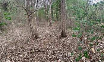 Imagem 6: VENDE-SE CHACARA