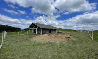 Imagem 2: Vende-se ou Aluga-se Chácara em São Marcos