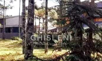 Imagem 3: LINDO TERRENO PLANO NO ASPEN MOUNTAIN