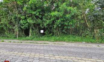 Imagem 6: Terreno para venda Ilha próximo a praias do Norte em Florianópolis