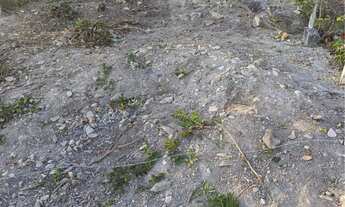 Imagem 6: Lote marmeleiro Terreno / lote com venda por R$70.000