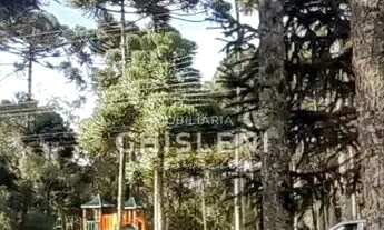 Imagem 6: LINDO TERRENO PLANO NO ASPEN MOUNTAIN