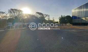 Imagem 4: Galpão para aluguel, Minas Gerais - Uberlândia/MG