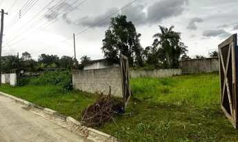 Imagem 2: Terreno para Venda em São Sebastião, Boraceia