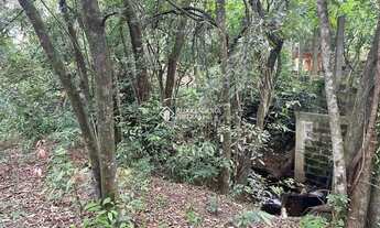 Imagem 2: Grande área no bairro Olaria