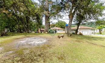 Imagem 7: Belíssima Chácara com 3.283 m² para venda a 5 minutos do centro de Colombo PR