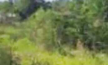 Imagem: Terreno à venda em LT 22 BERTO CIRIO, Nova