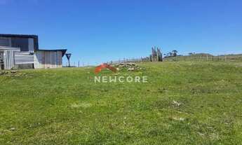 Imagem 4: Fazenda em Lageado Grande - Tainhas - São Francisco de Paula/RS