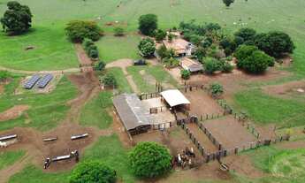 Imagem 2: Fazenda dupla aptidão campina verde