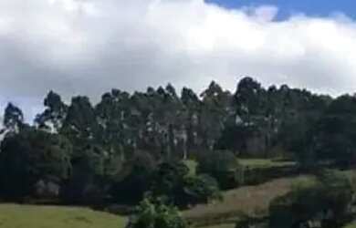 Imagem 2: O que ninguém te contou antes de comprar