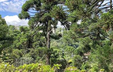 Imagem 7: Casa em Alameda Agua Marinha, ( Jd. Belvedere ) - Morro do Elefante - Campos do Jordão/SP