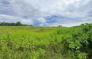 Imagem 7: Antecipe-se ao mercado e invista com vantagem em Ibiúna