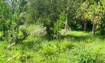 Imagem 4: Vende-se uma casa em Amado Bahia