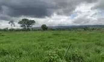 Imagem 5: Fazenda com 981he c/ 650he abertos, 50km de Cuiabá-MT
