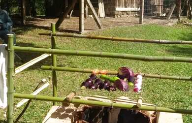 Imagem 7: CAUE IMÓVEIS VENDE Excelente Propriedade em Viamão-RS - Refúgio de Luxo!