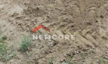 Imagem 4: Sítio em Rua Professor Júlio Carvalho Gomes - Roça Velha - São José dos Pinhais/PR