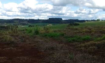 Imagem 6: Recanto Amigos da Natureza Londrina