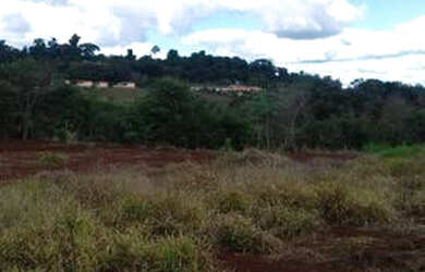 Imagem 2: Recanto Amigos da Natureza Londrina