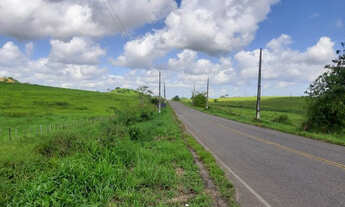 Imagem 6: Fazenda próximo BR 324 localizada em Terra Nova