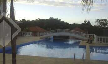 Imagem 7: PORTO ALEGRE - Padrão - Cavalhada