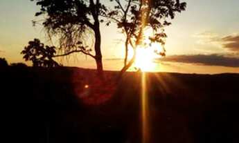 Imagem: CHÁCARAS A VENDA COM RIO É CASA !TAMANHO