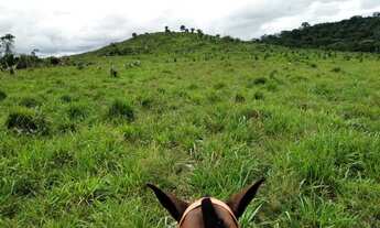 Imagem 7: Venda Fazenda-153 alqueires-Casa-Pasto-Contriguaçu-Mato Grosso