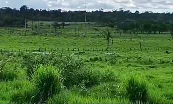 Imagem 6: Fazenda com 120 hectares a 20 km de Rorainópolis a 3 km da BR-174, 55 hectares de pasto