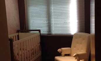 Imagem 6: Bulevar dos ipês