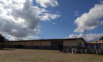 Imagem: Apartamento para aluguel e venda possui