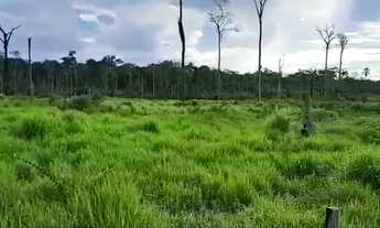 Imagem 5: Fazenda com 120 hectares a 20 km de Rorainópolis a 3 km da BR-174, 55 hectares de pasto