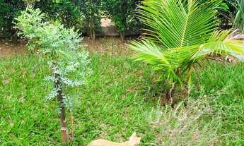 Imagem 5: RANCHO COMPLETO Chácara com venda por R$390.000