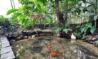 Imagem 7: Apartamento 03 quartos sendo 01 suíte mobiliado à venda - Córrego Grande, Florianópolis, S