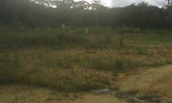 Imagem 4: Excelente Chácara com 3.500 m2 170.000.00 Campo Largo da Roseira