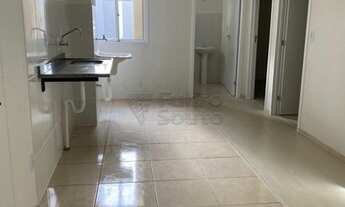 Imagem 5: Pelotas - Apartamento Padrão - Fragata