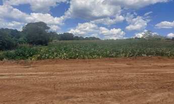 Imagem 3: O07 lotes de 450m2
