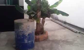 Imagem 3: Casa Casa com 2 dormitórios